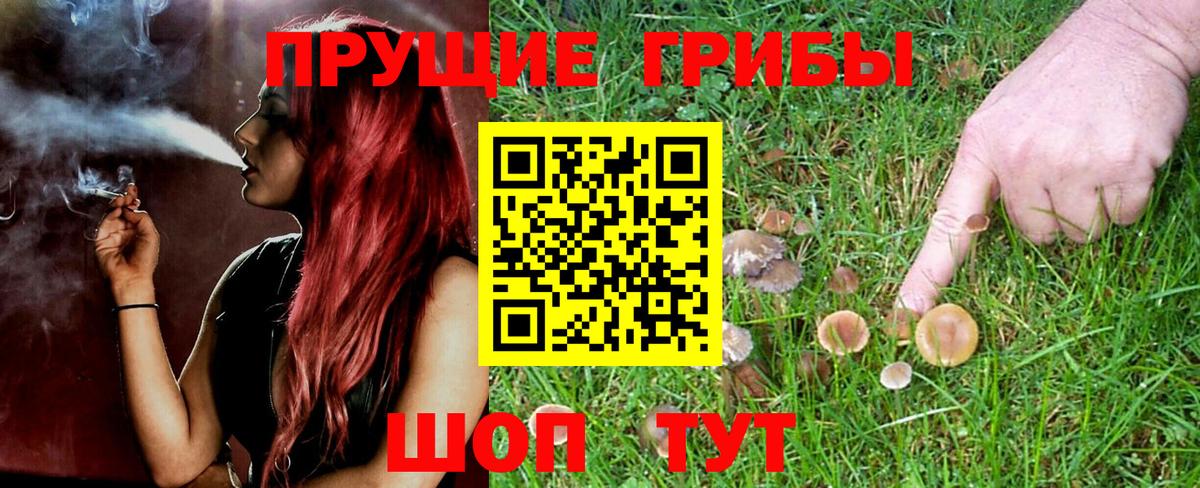 Химки  Галлюциногенные грибы прущие грибы  Вход с VPN 
